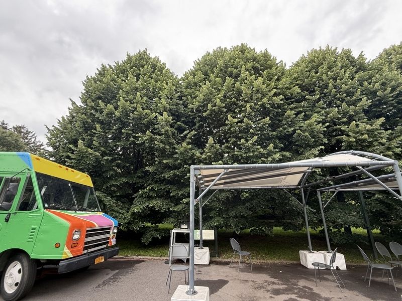 Solar Canopies Marker. Click for full size. Solar Canopies Marker image. Click for full size.