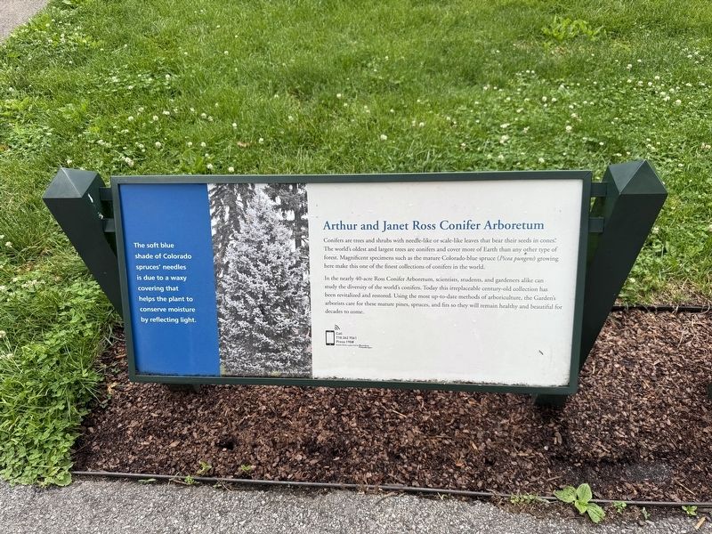 Arthur and Janet Ross Conifer Arboretum Marker image. Click for full size.