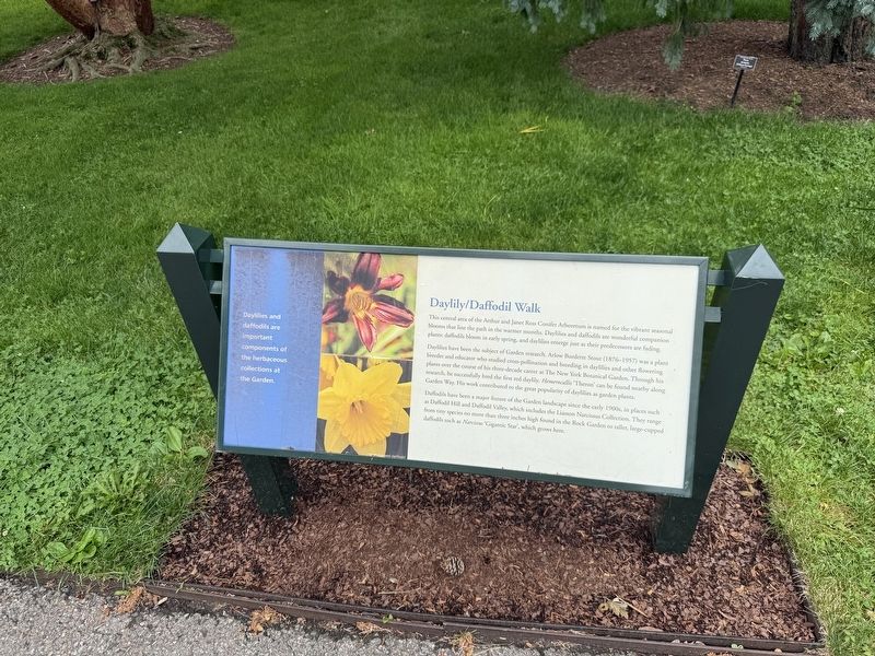 Daylily/Daffodil Walk Marker. Click for full size. Daylily/Daffodil Walk Marker image. Click for full size.