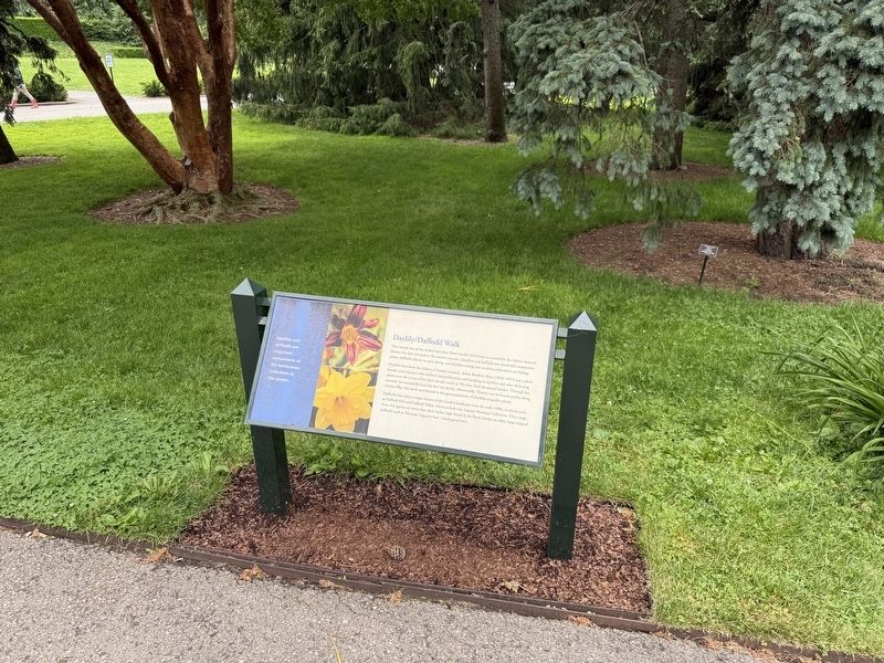 Daylily/Daffodil Walk Marker. Click for full size. Daylily/Daffodil Walk Marker image. Click for full size.
