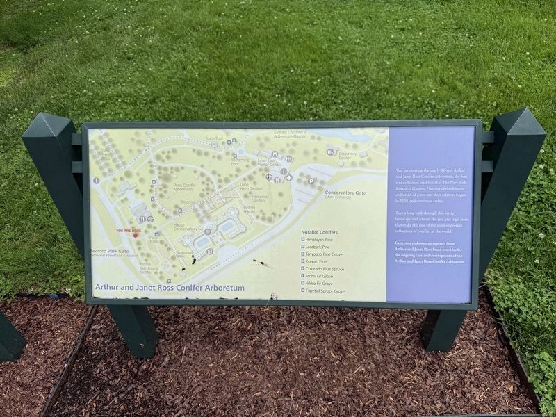 Arthur and Janet Ross Conifer Arboretum Marker. Click for full size. Arthur and Janet Ross Conifer Arboretum Marker image. Click for full size.