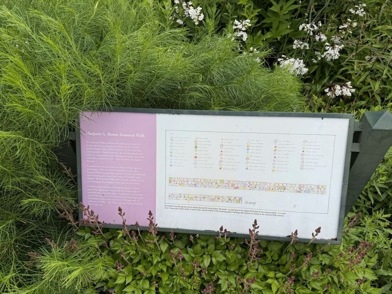 Marjorie G. Rosen Seasonal Walk Marker. Click for full size. Marjorie G. Rosen Seasonal Walk Marker image. Click for full size.