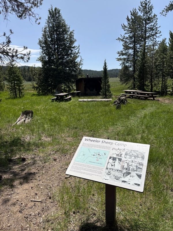 Wheeler Sheep Camp Marker image. Click for full size.