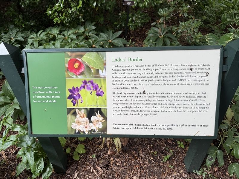 Ladies' Border Marker. Click for full size. Ladies' Border Marker image. Click for full size.