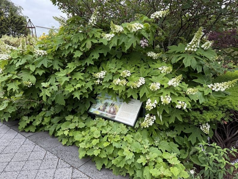 Jane Watson Irwin Perennial Garden Marker. Click for full size. Jane Watson Irwin Perennial Garden Marker image. Click for full size.