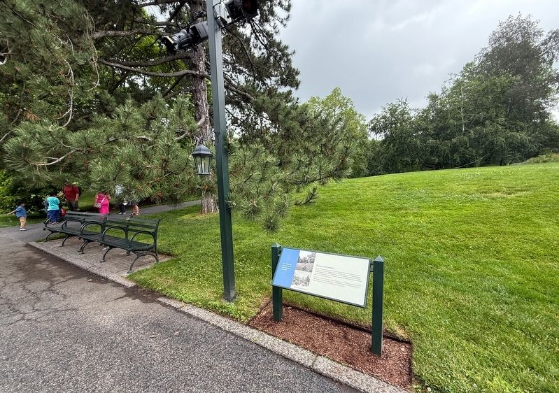 History of Conifers Marker. Click for full size. History of Conifers Marker image. Click for full size.