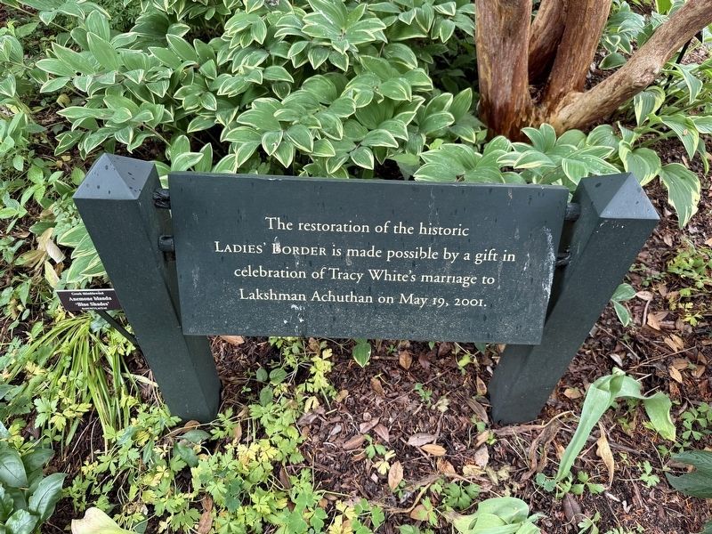 Ladies' Border Dedication. Click for full size. Ladies' Border Dedication image. Click for full size.