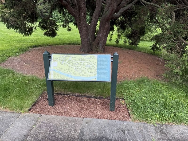 Benenson Ornamental Conifers Marker. Click for full size. Benenson Ornamental Conifers Marker image. Click for full size.