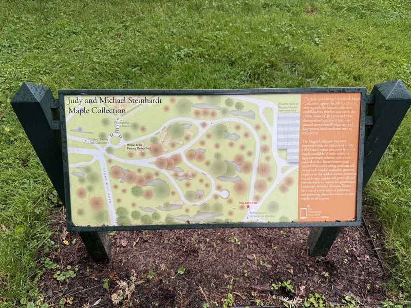 Judy and Michael Steinhardt Maple Collection Marker. Click for full size. Judy and Michael Steinhardt Maple Collection Marker image. Click for full size.