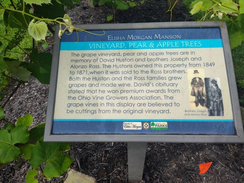 Vineyard, Pear & Apple Trees Marker. Click for full size. Vineyard, Pear & Apple Trees Marker image. Click for full size.