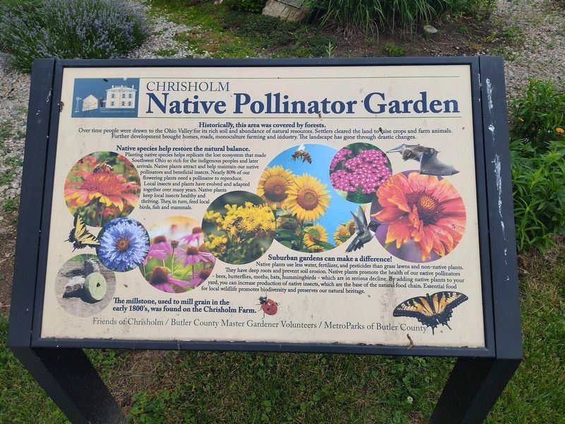 Chrisholm Native Pollinator Garden Marker. Click for full size. Chrisholm Native Pollinator Garden Marker image. Click for full size.