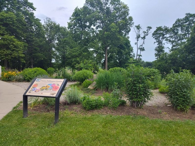 Chrisholm Native Pollinator Garden Marker. Click for full size. Chrisholm Native Pollinator Garden Marker image. Click for full size.