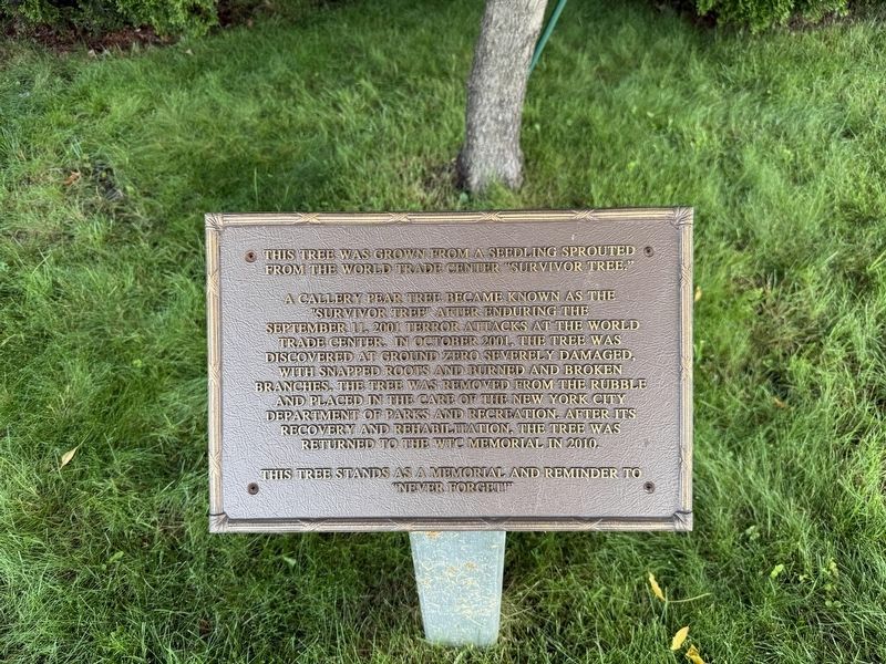 World Trade Center "Survivor Tree" Sprout Marker. Click for full size. World Trade Center "Survivor Tree" Sprout Marker image. Click for full size.