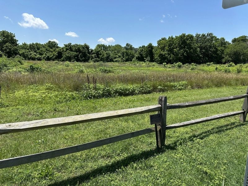 Site of Zacheis Cannery Marker - wide view. Click for full size. Site of Zacheis Cannery Marker - wide view image. Click for full size.