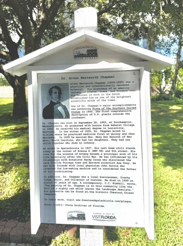 Dr. Alvin Wentworth Chapman Marker image. Click for full size.