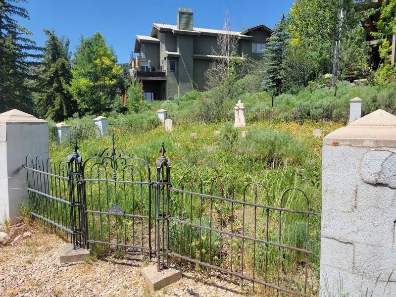 Snyderville Pioneer Cemetery image. Click for full size.