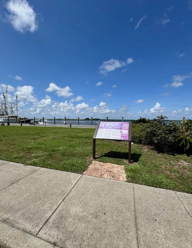 Apalachicola�s Cotton Era Marker image. Click for full size.