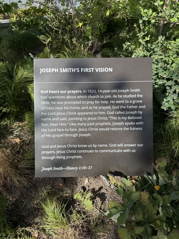 Joseph Smith's First Vision Marker image. Click for full size.