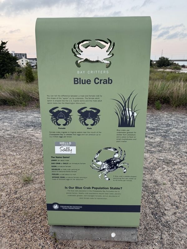 Blue Crab side of the marker image. Click for full size.