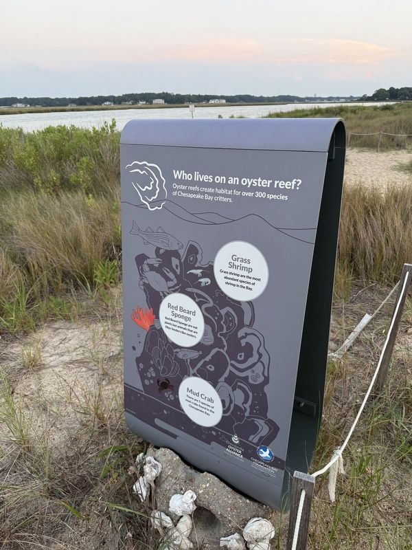 The Oyster Barge Marker image. Click for full size.