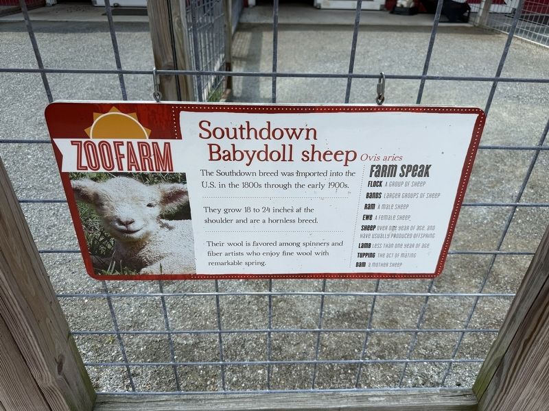 Southdown Babydoll sheep Marker image. Click for full size.