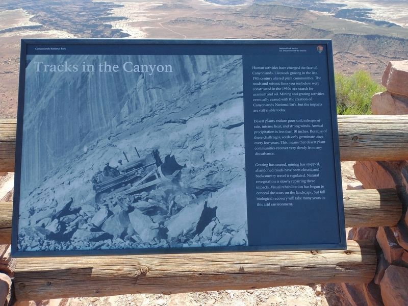 Tracks in the Canyon Marker. Click for full size. Tracks in the Canyon Marker image. Click for full size.