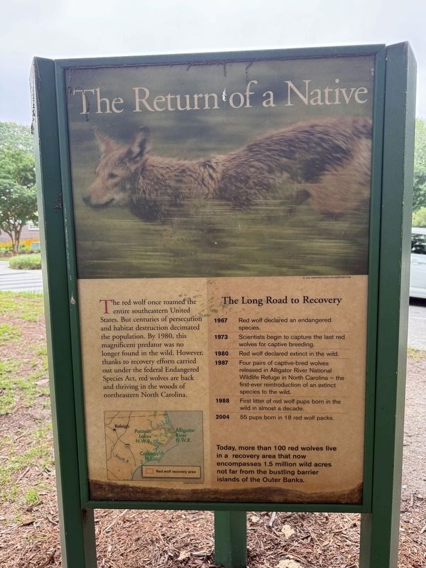 The Return of a Native Marker. Click for full size. The Return of a Native Marker image. Click for full size.