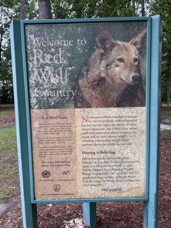 Welcome to Red Wolf Country signage. Click for full size. Welcome to Red Wolf Country signage image. Click for full size.