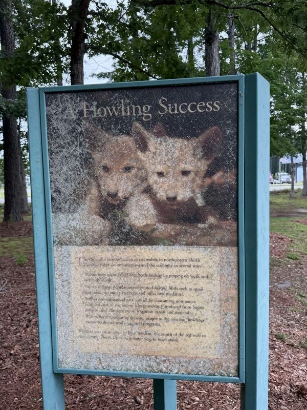 A Howling Success signage. Click for full size. A Howling Success signage image. Click for full size.