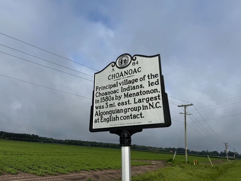 Choanoac Marker image. Click for full size.