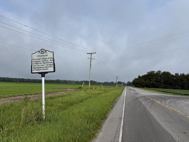Choanoac Marker image. Click for full size.