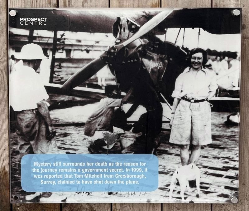 Still a Mystery. Click for full size. Still a Mystery image. Click for full size.