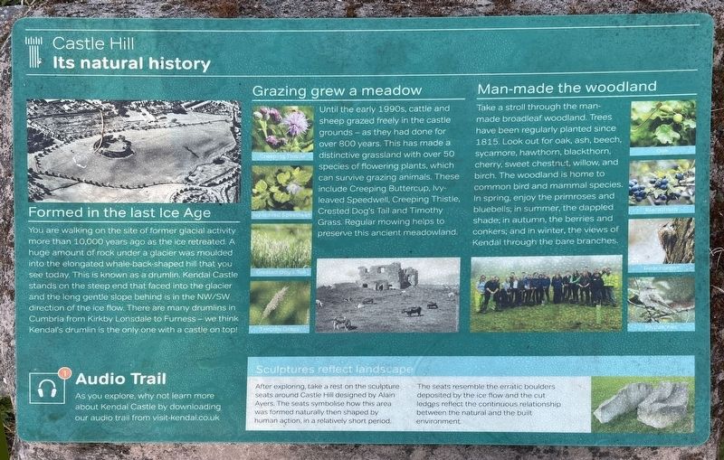 Castle Hill Marker image. Click for full size.