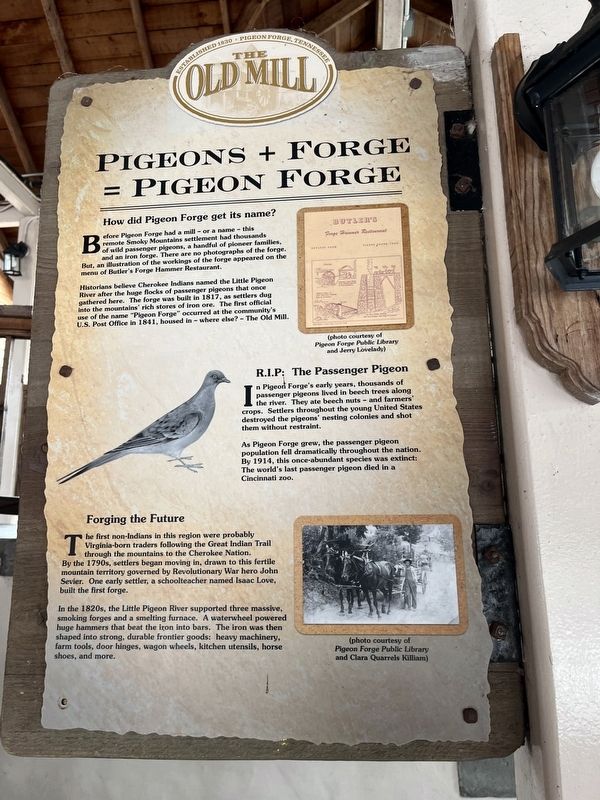 Pigeons + Forge = Pigeon Forge Marker image. Click for full size.