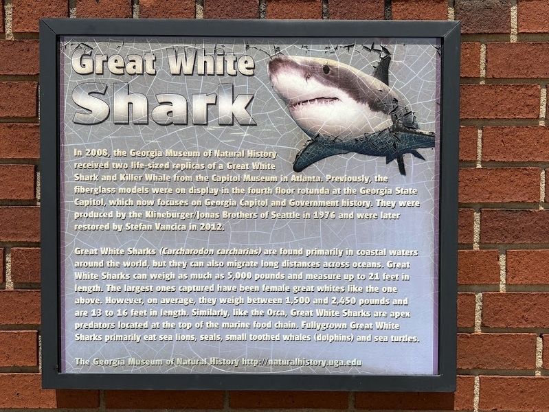 Great White Shark Marker image. Click for full size.