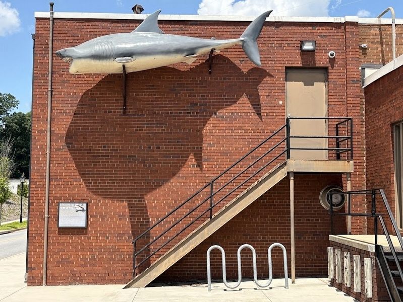 Great White Shark Marker image. Click for full size.