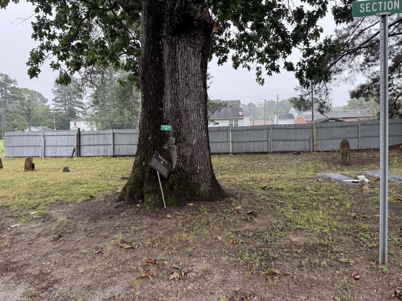 Black Oak Tree Marker, falling off its post image. Click for full size.