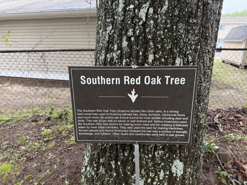 Southern Red Oak Tree Marker. Click for full size. Southern Red Oak Tree Marker image. Click for full size.