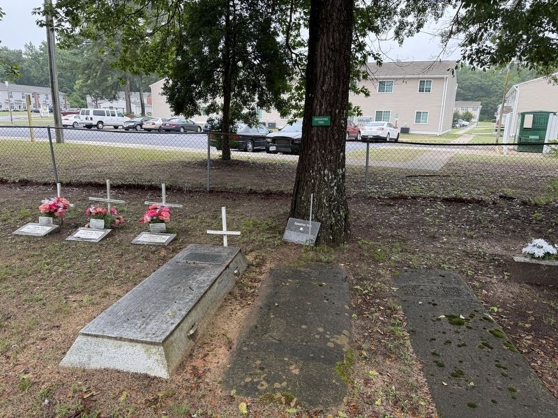 Sassafras Tree Marker, which has come off its pole. Click for full size. Sassafras Tree Marker, which has come off its pole image. Click for full size.