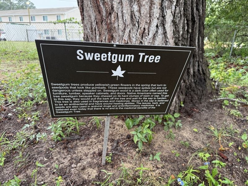 Sweetgum Tree Marker image. Click for full size.