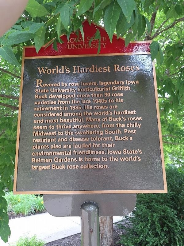 World's Hardiest Roses Marker. Click for full size. World's Hardiest Roses Marker image. Click for full size.