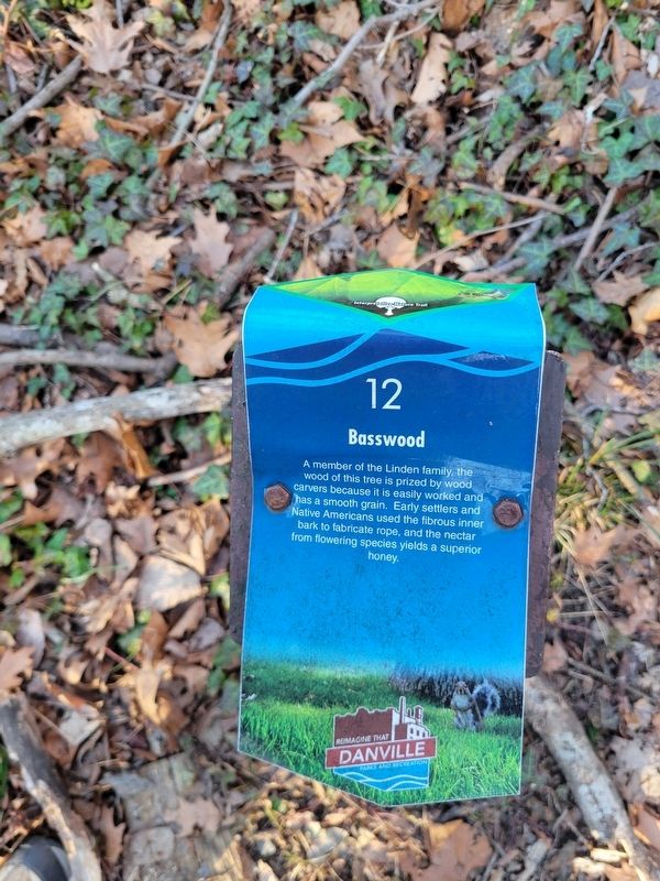 Basswood Marker. Click for full size. Basswood Marker image. Click for full size.