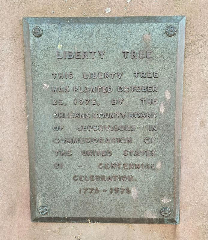 Liberty Tree Marker. Click for full size. Liberty Tree Marker image. Click for full size.