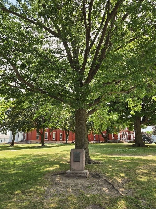 Liberty Tree and Marker. Click for full size. Liberty Tree and Marker image. Click for full size.