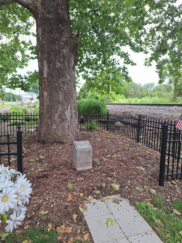 E. Olin Soule Tree and Plaque Marker image. Click for full size.