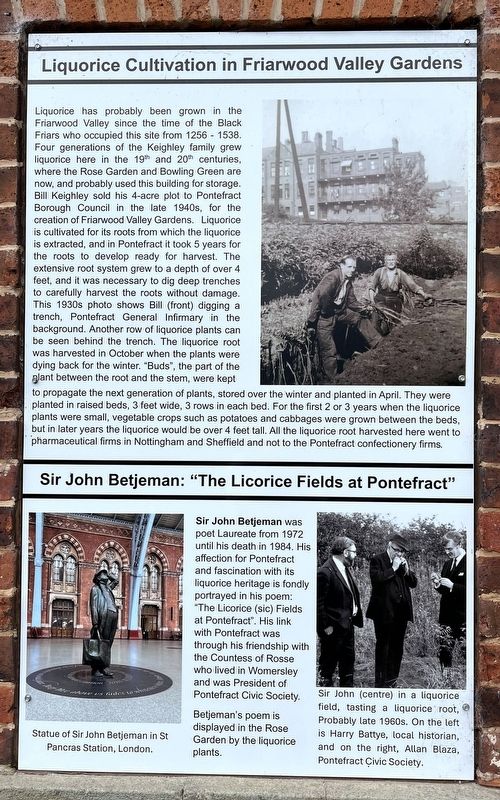 Liquorice Cultivation at Friarwood Valley Gardens Marker image. Click for full size.
