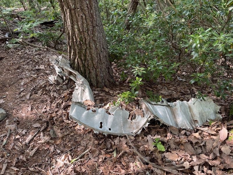 Aircraft Wreckage image. Click for full size.
