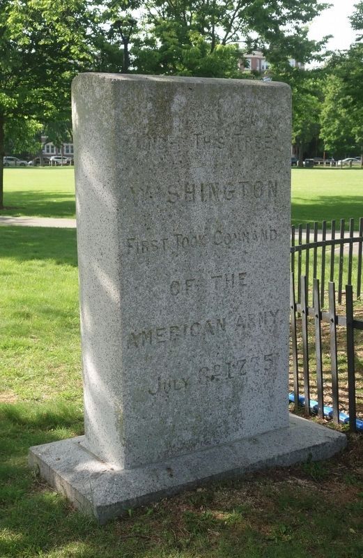 Washington Elm Marker. Click for full size. Washington Elm Marker image. Click for full size.
