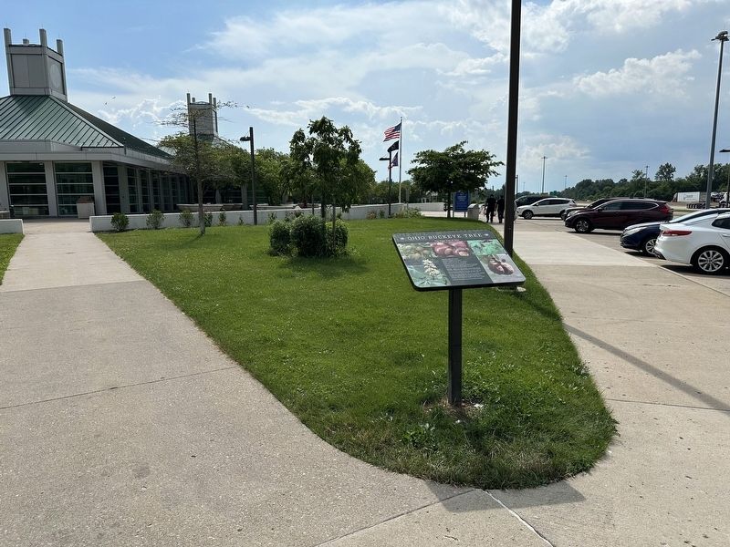 Ohio Buckeye Tree Marker - wide view. Click for full size. Ohio Buckeye Tree Marker - wide view image. Click for full size.