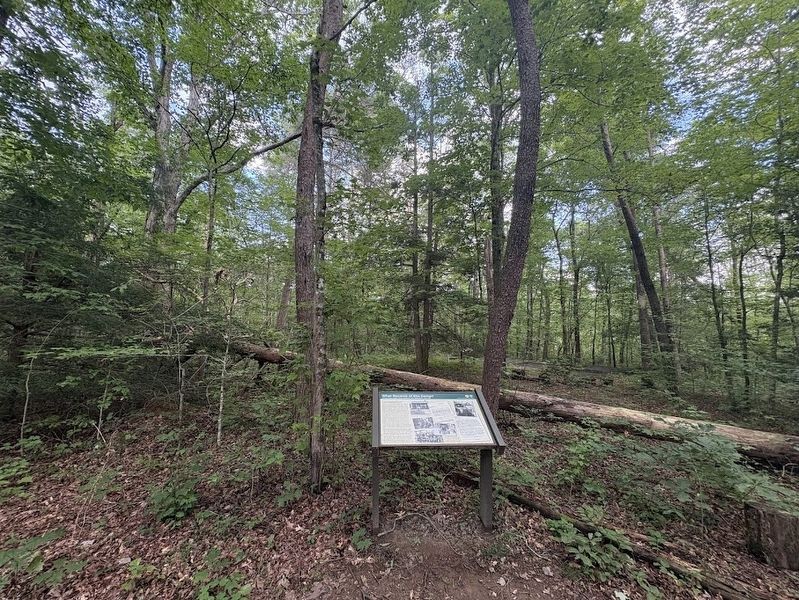 What Became of this Camp Marker. Click for full size. What Became of this Camp Marker image. Click for full size.